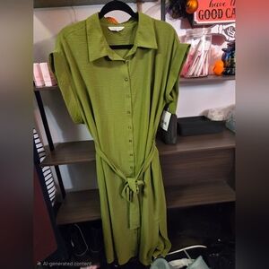 Ophelia Roe Olive Green Button-Down Belted Maxi Dress NEW NWT